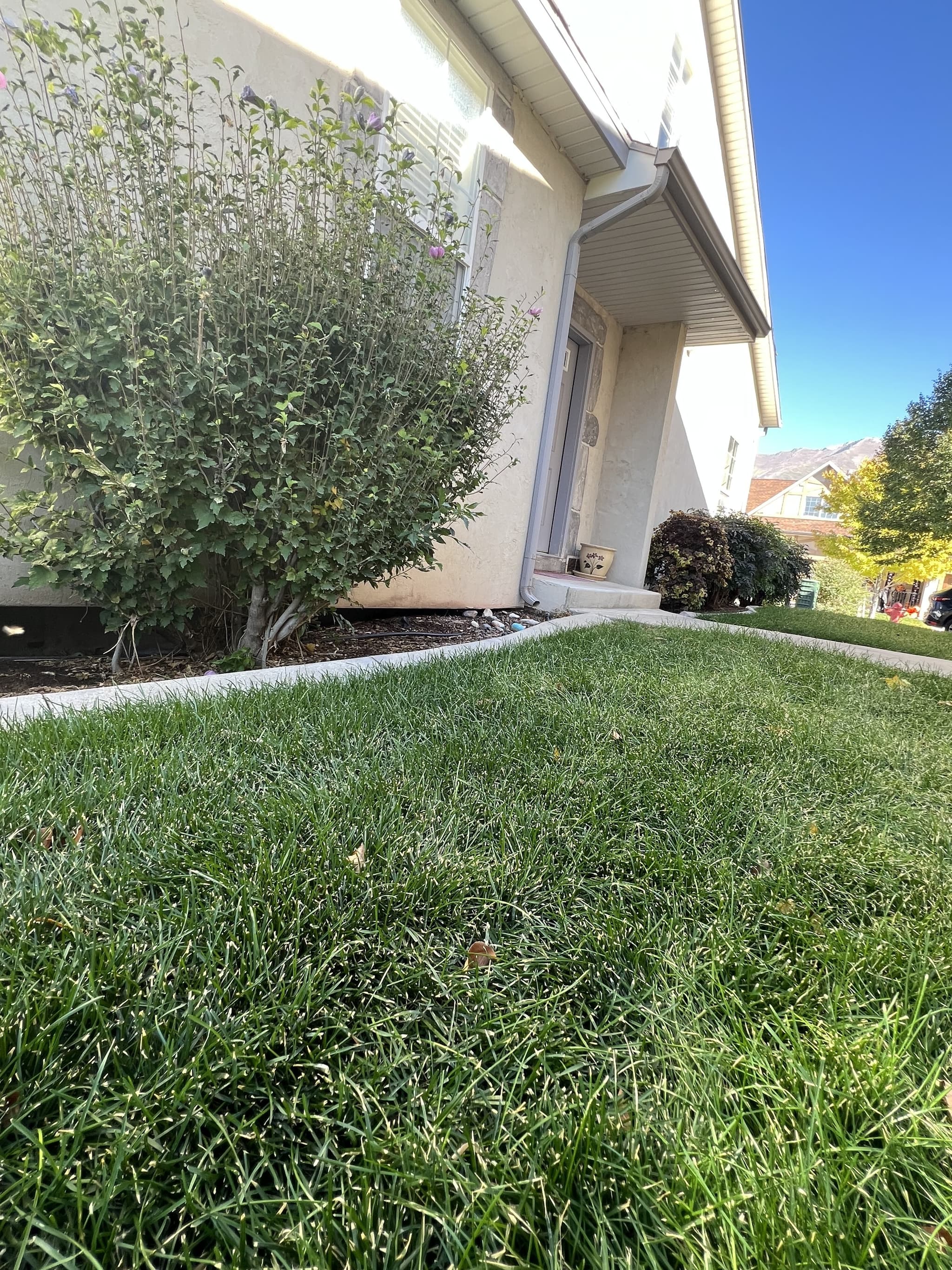 Spanish Fork Condo: 1164 S 2910 E