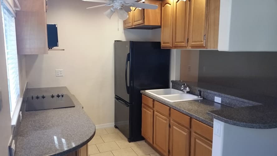 Tampa Apartment: 11714 Raintree Village Blvd