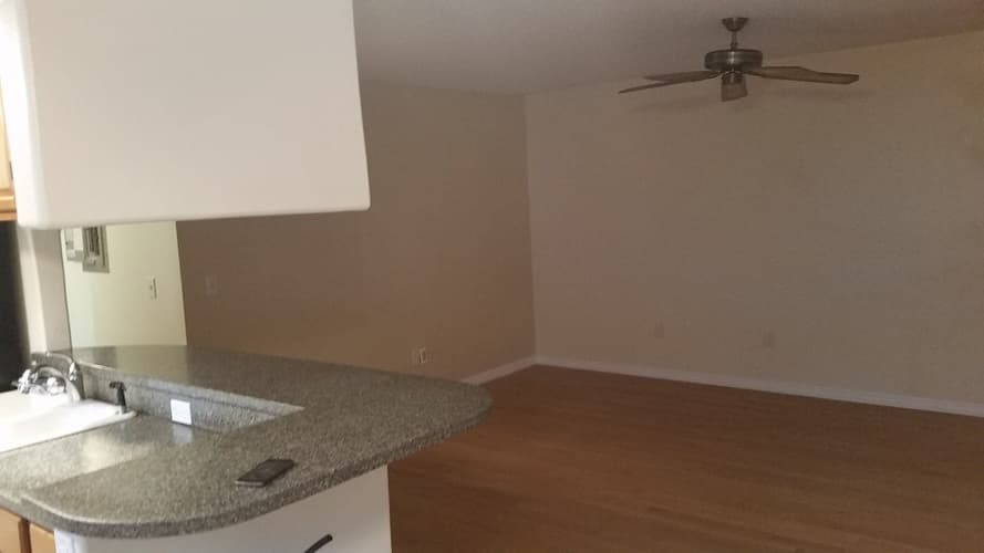 Tampa Apartment: 11714 Raintree Village Blvd