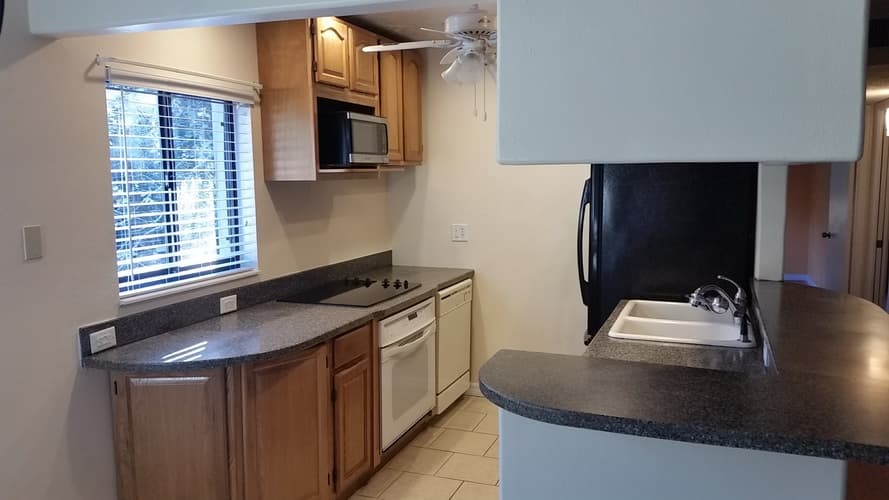 Tampa Apartment: 11714 Raintree Village Blvd
