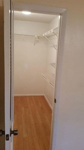 Tampa Apartment: 11714 Raintree Village Blvd