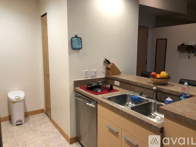 Madison Condo: 309 West Washington Avenue
