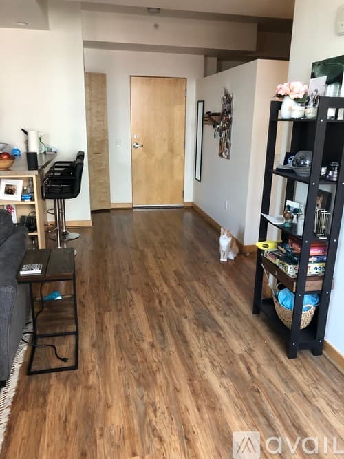 Madison Condo: 309 West Washington Avenue