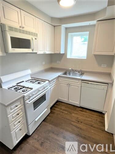 Chicago Apartment: 3517 21 W Grace St
