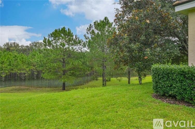 Lecanto House: 1584 W Spring Meadow Loop