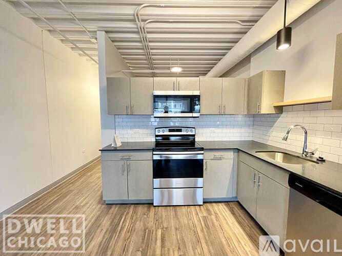 Chicago Apartment: 949 W Dakin St