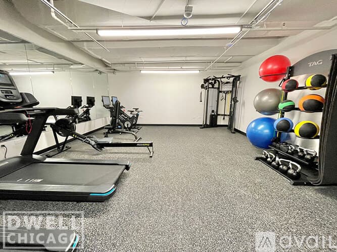 Chicago Apartment: 949 W Dakin St