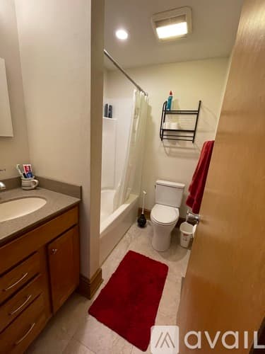 Madison Apartment: 214 N Dickinson St