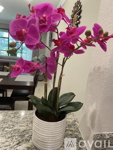 Sarasota Condo: 12413 Osorio Ct Sarasota Fl 34238