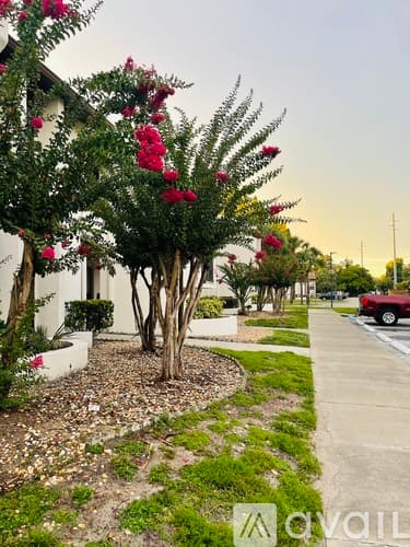 Orlando Apartment: 5736 S Texas Ave