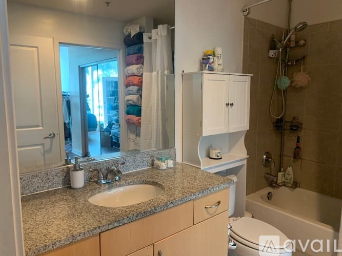 Tampa Condo: 777 North Ashley Drive