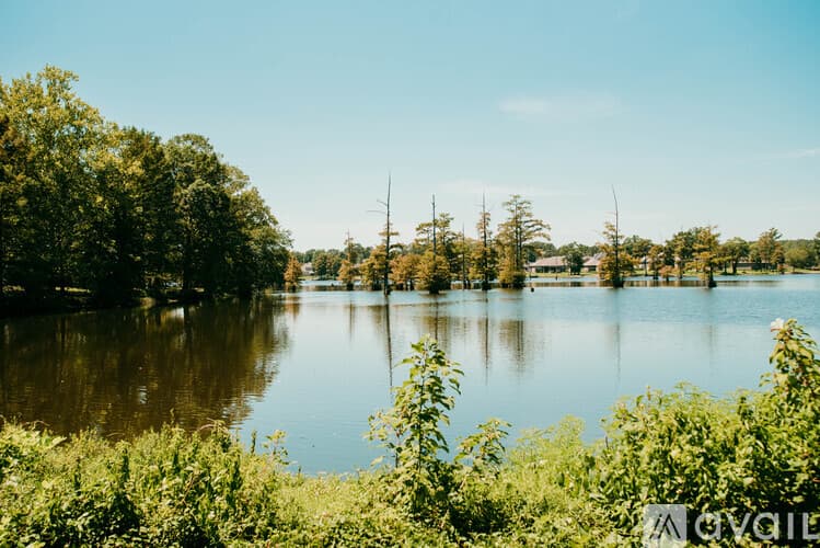 Jacksonville House: 19 Del Tara Dr