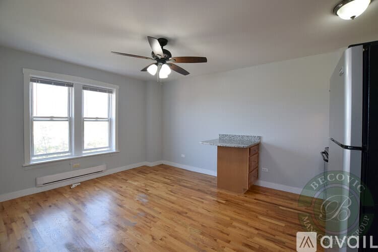 Chicago Apartment: 7450 N Greenview Ave