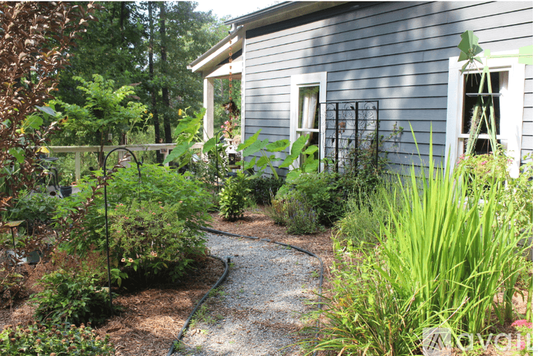 Lake Lure House: 203 Lucky Horse Lane