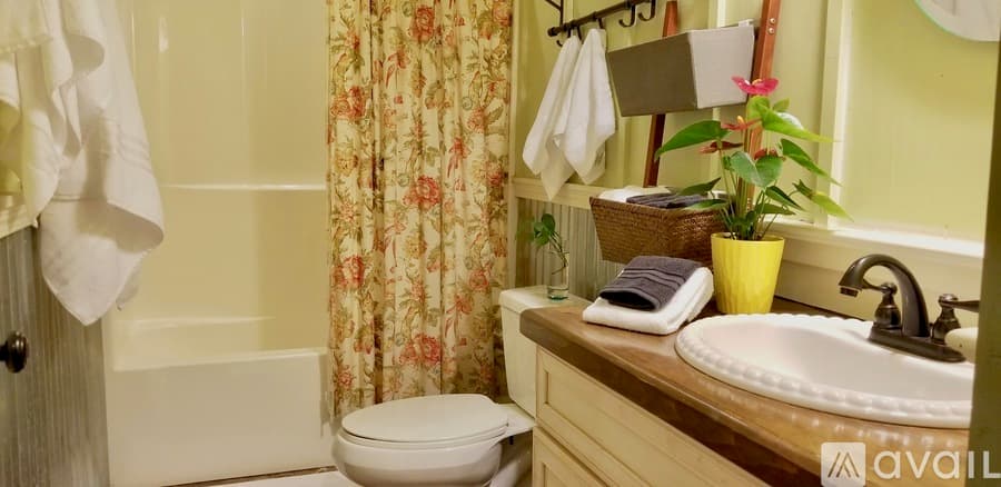 Lake Lure House: 203 Lucky Horse Lane