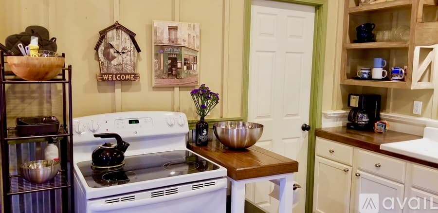 Lake Lure House: 203 Lucky Horse Lane