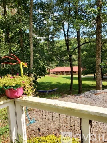 Lake Lure House: 203 Lucky Horse Lane