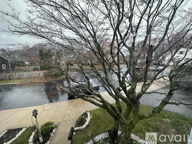 Providence Apartment: Homefield Ave