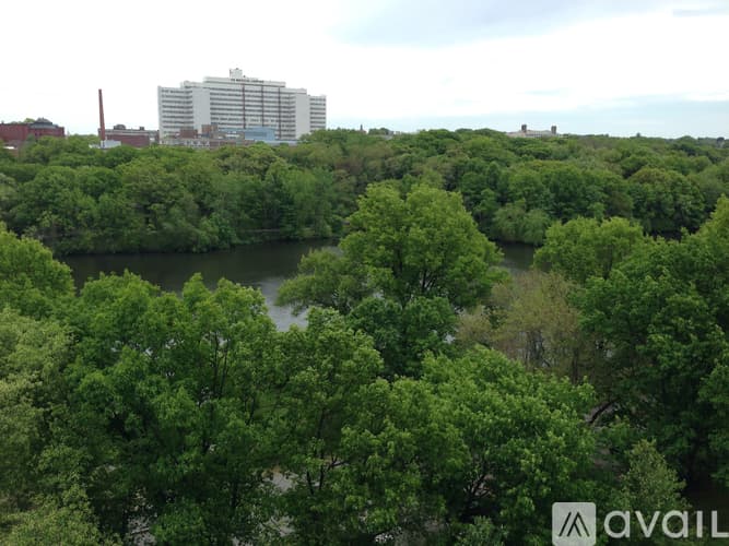 Brookline Condo: 77 Pond Avenue