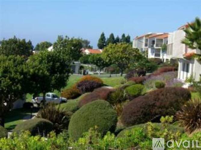 Carlsbad House: 909 Caminito Madrigal D