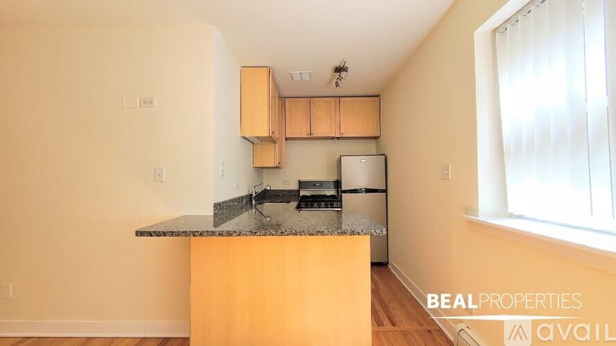 Chicago Apartment: 625 W Wrightwood Ave