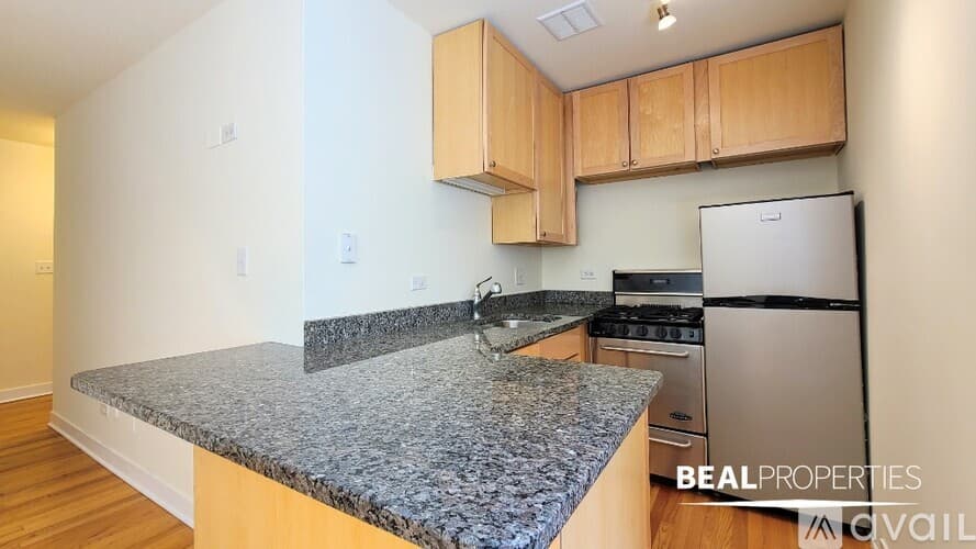 Chicago Apartment: 625 W Wrightwood Ave