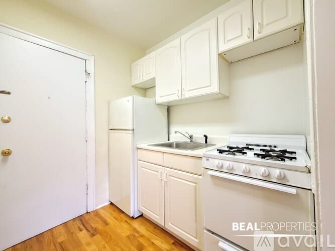 Chicago Condo: 540 W Wellington Ave