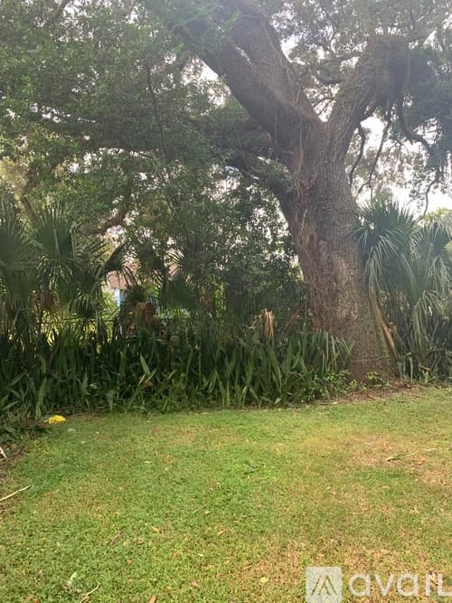 Tampa Apartment: 8500 North Alaska Street