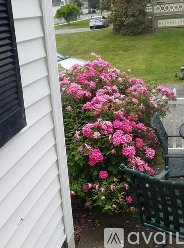 Hopkinton Apartment: 26 Hayden Rowe Street