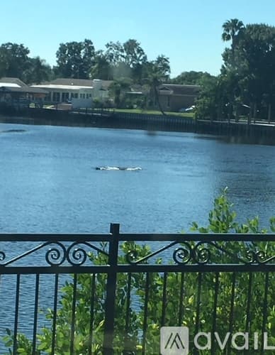 Tampa Townhome: 5704 Baywater Dr
