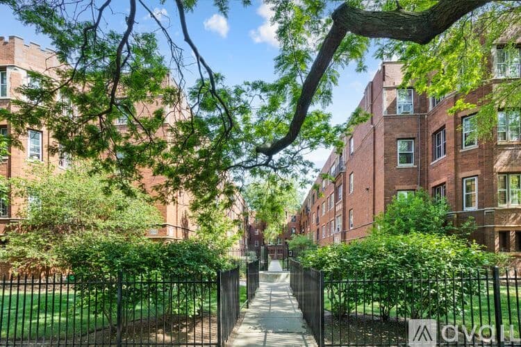 Chicago Apartment: 1558 W Juneway Terrace
