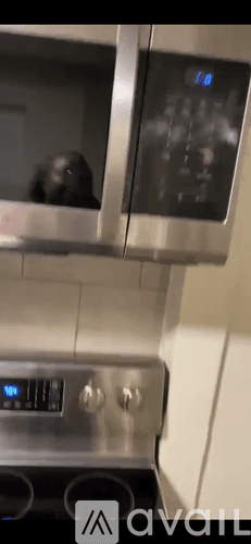 Tampa Apartment: 8500 North Alaska Street