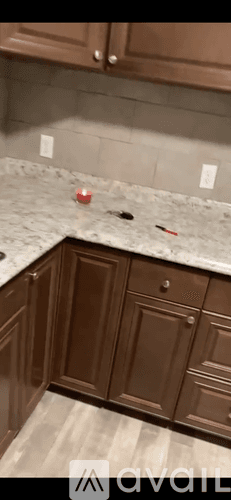 Tampa Apartment: 8500 North Alaska Street