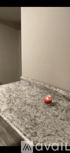 Tampa Apartment: 8500 North Alaska Street