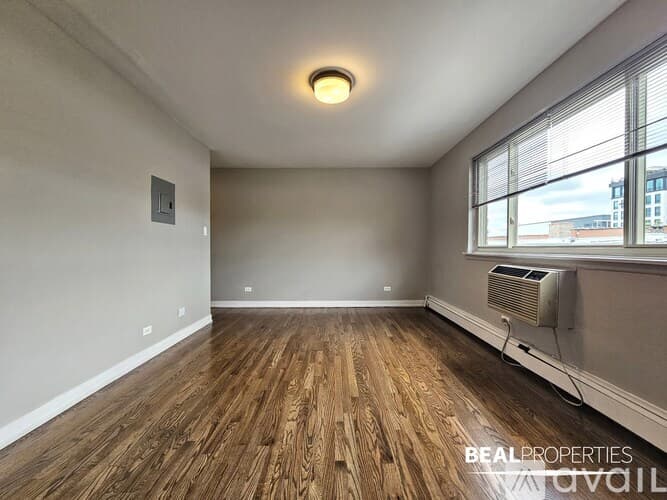 Chicago Apartment: 528 W Oakdale Ave