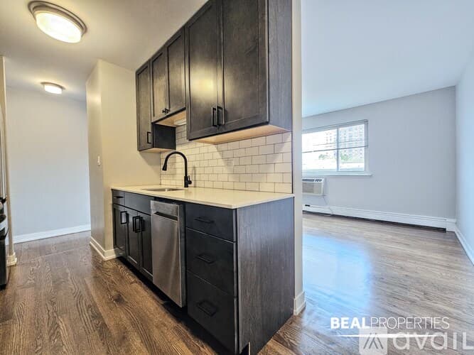 Chicago Apartment: 528 W Oakdale Ave