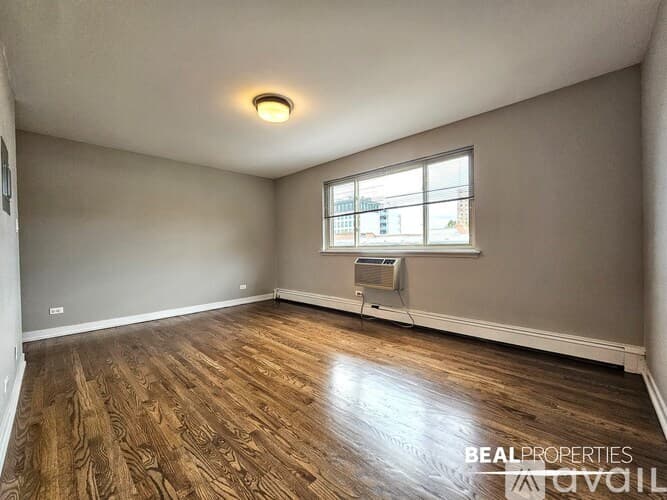 Chicago Apartment: 528 W Oakdale Ave