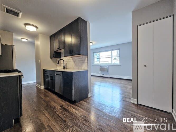 Chicago Apartment: 528 W Oakdale Ave