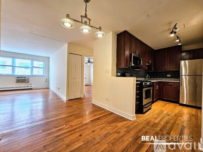 Chicago Apartment: 625 W Wrightwood Ave