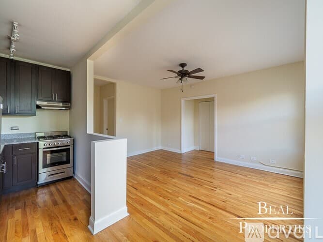 Chicago Apartment: 4737 N Hermitage Ave