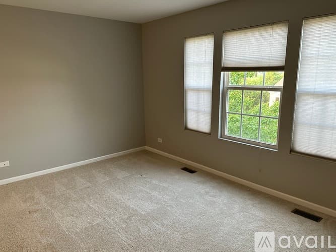 North Aurora Townhome: 1141 Kilbery Lane