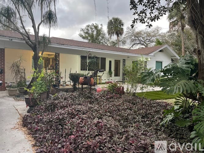 Tampa House: 411 West Flora Street