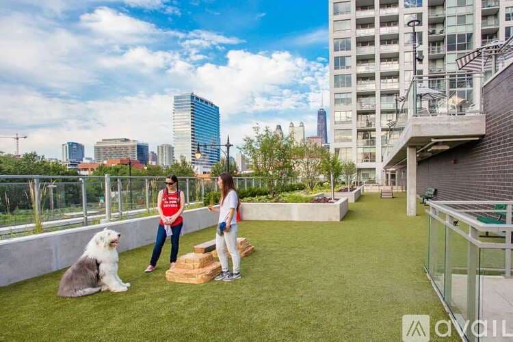 Chicago Apartment: 741 N Hudson Ave