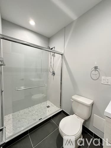 Chicago Apartment: 1554 W Juneway Terrace
