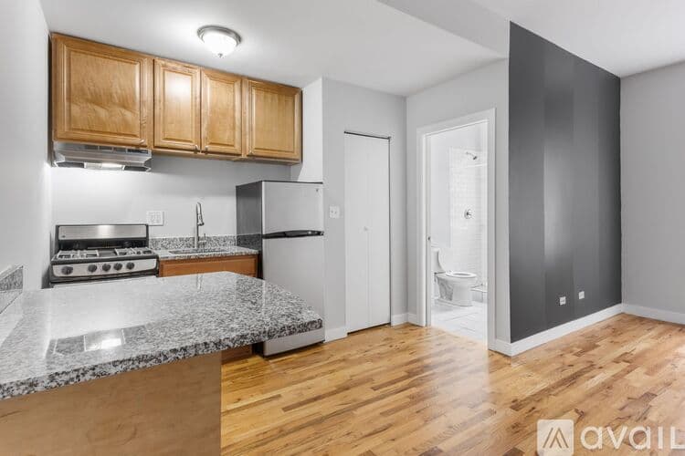 Chicago Apartment: 7456 N Greenview Ave