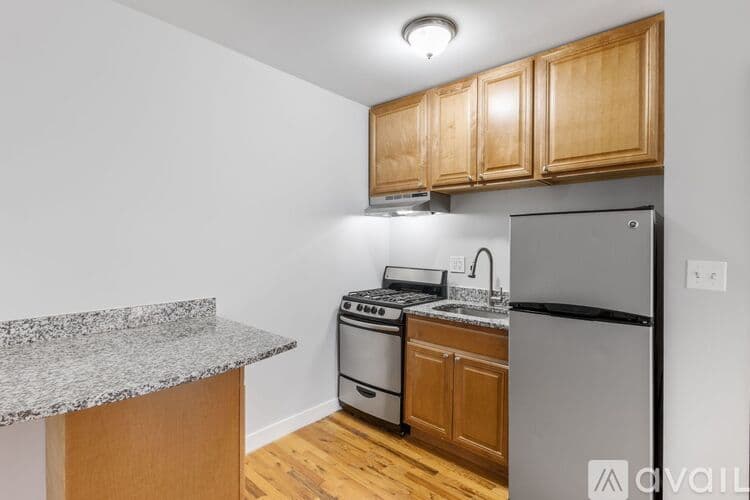 Chicago Apartment: 7456 N Greenview Ave