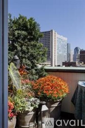 Boston Apartment: 6 Edgerly Pl