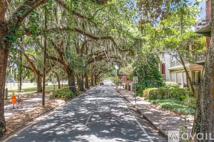 Savannah Apartment: 805 Whitaker St