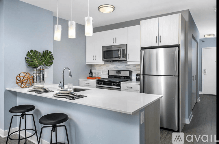 Chicago Apartment: 1003 S State St