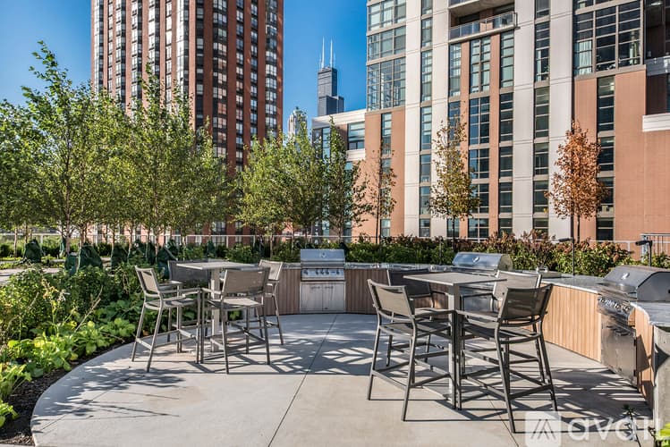 Chicago Apartment: 1003 S State St